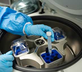 Support research