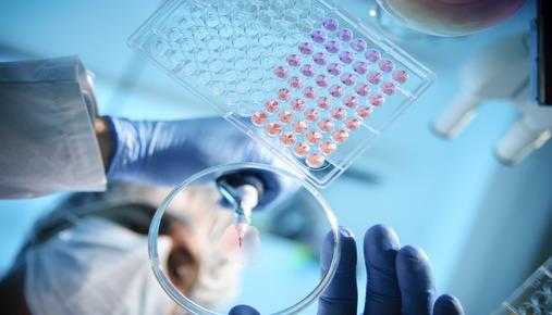 Medical personell injecting luquid from a syringe onto a petri dish 