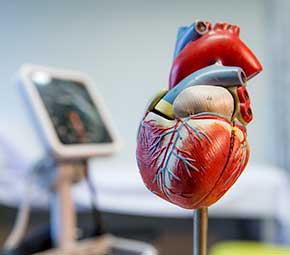 Valve and Structural Heart clinic
