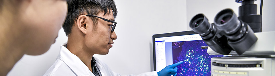 A researcher looking at a computer screen