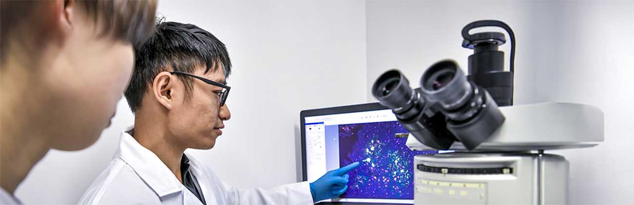 A researcher looking at a computer screen