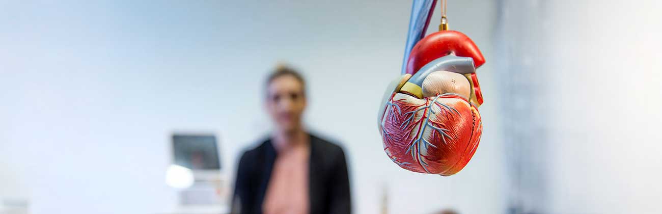 A patient in the background with a replica heart at front